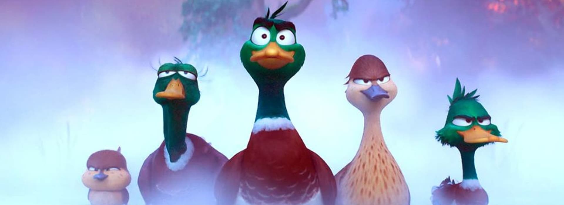 ¡Patos!