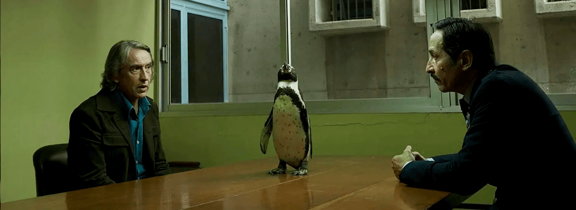 Lecciones De Un Pingüino