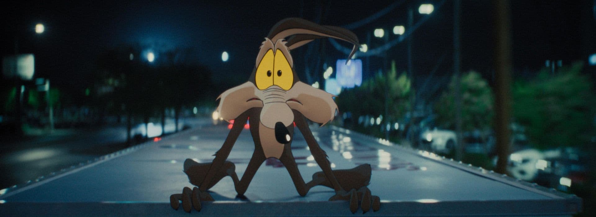 Coyote vs. ACME