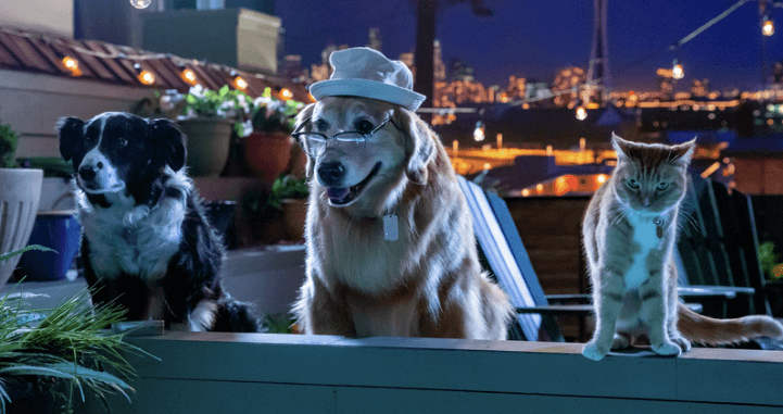 Como Perros y Gatos 3: ¡Patas Unidas!
