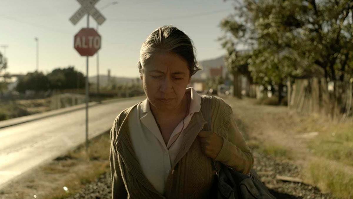 Sin Señas Particulares