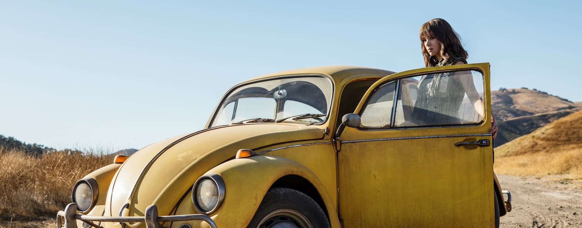 Bumblebee