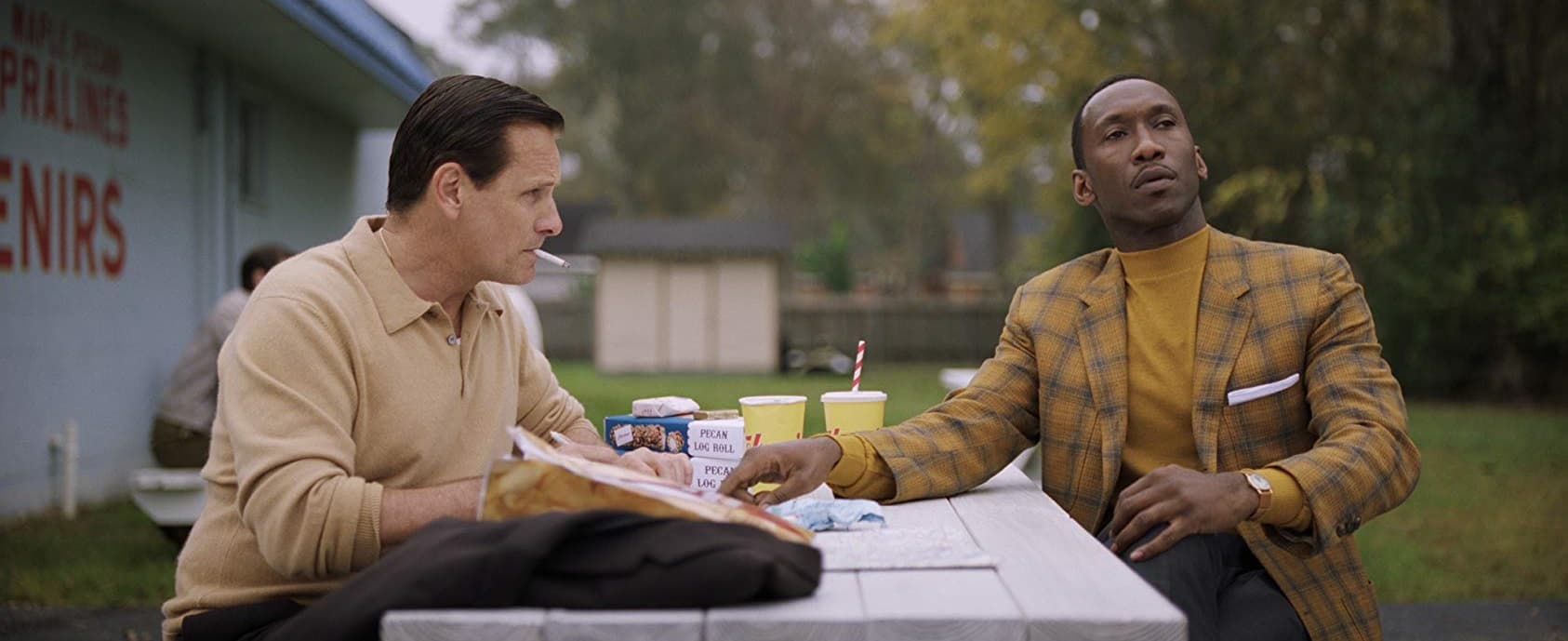 Green Book: Una Amistad Sin Fronteras