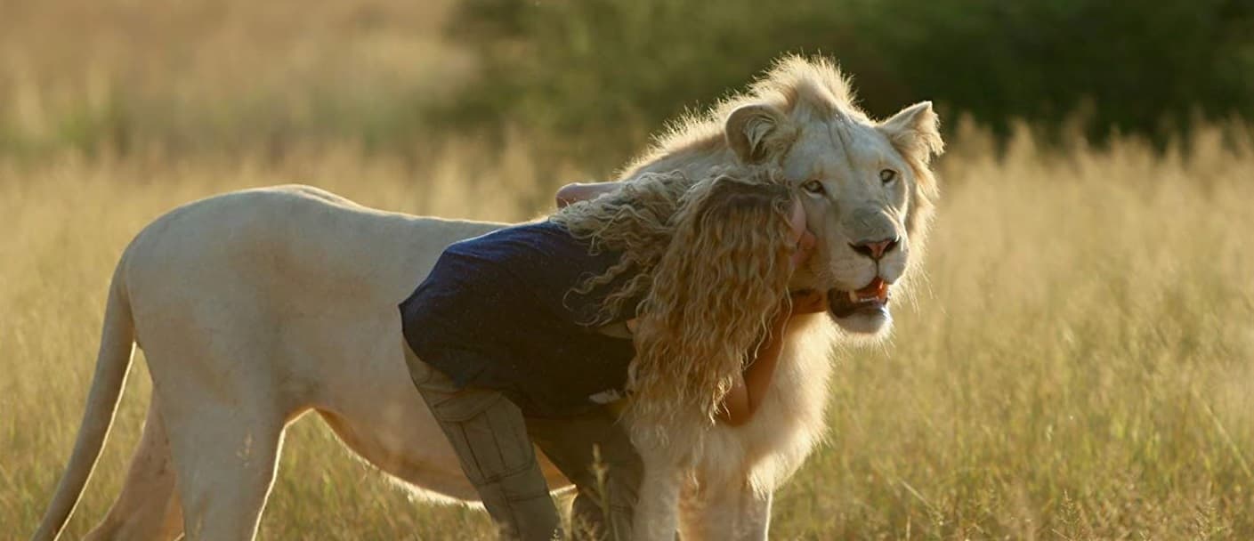 Mi Mascota Es Un León