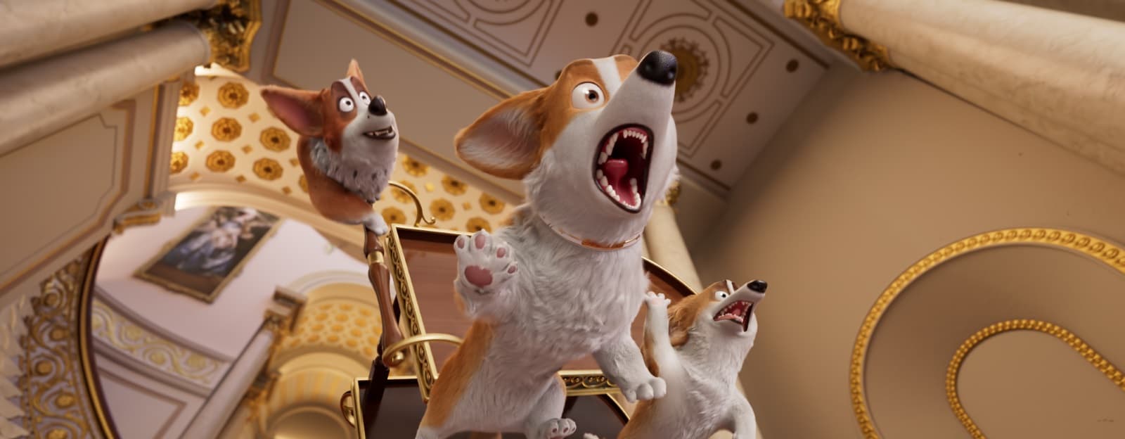 Corgi: Un Perro Real