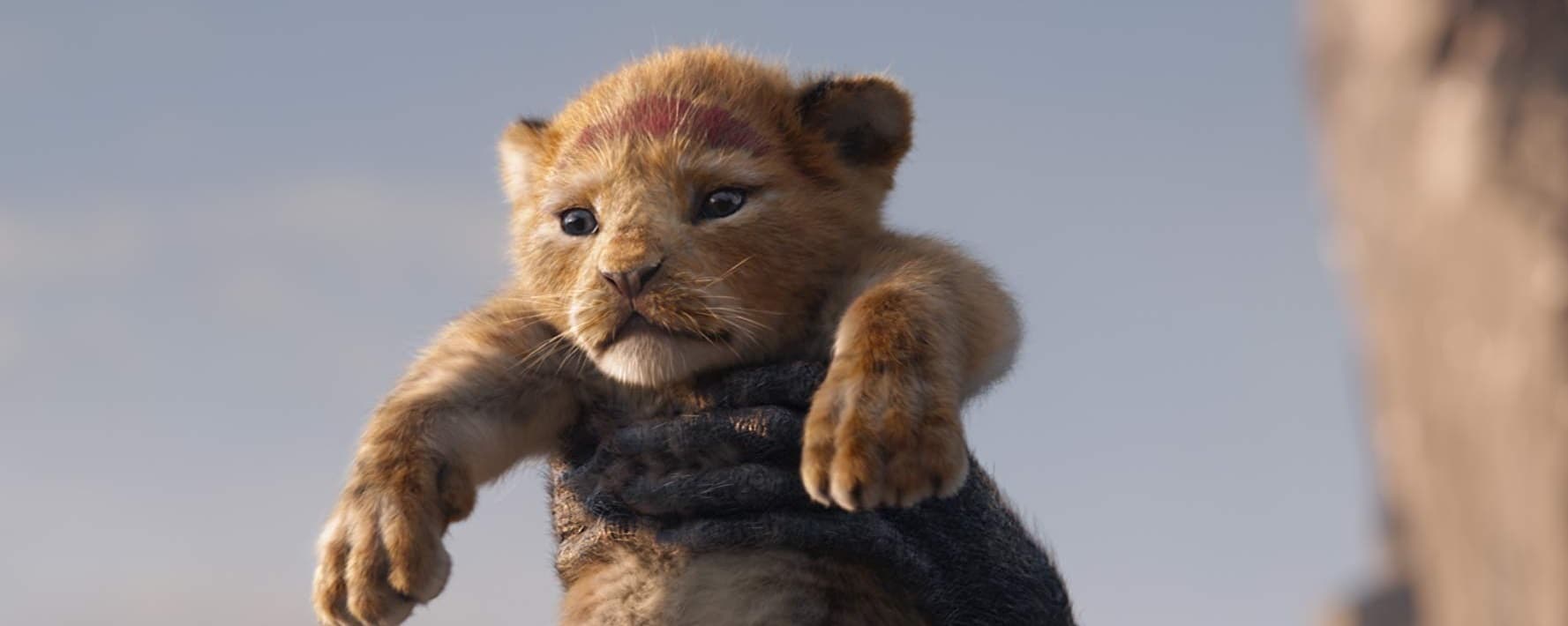 El Rey León