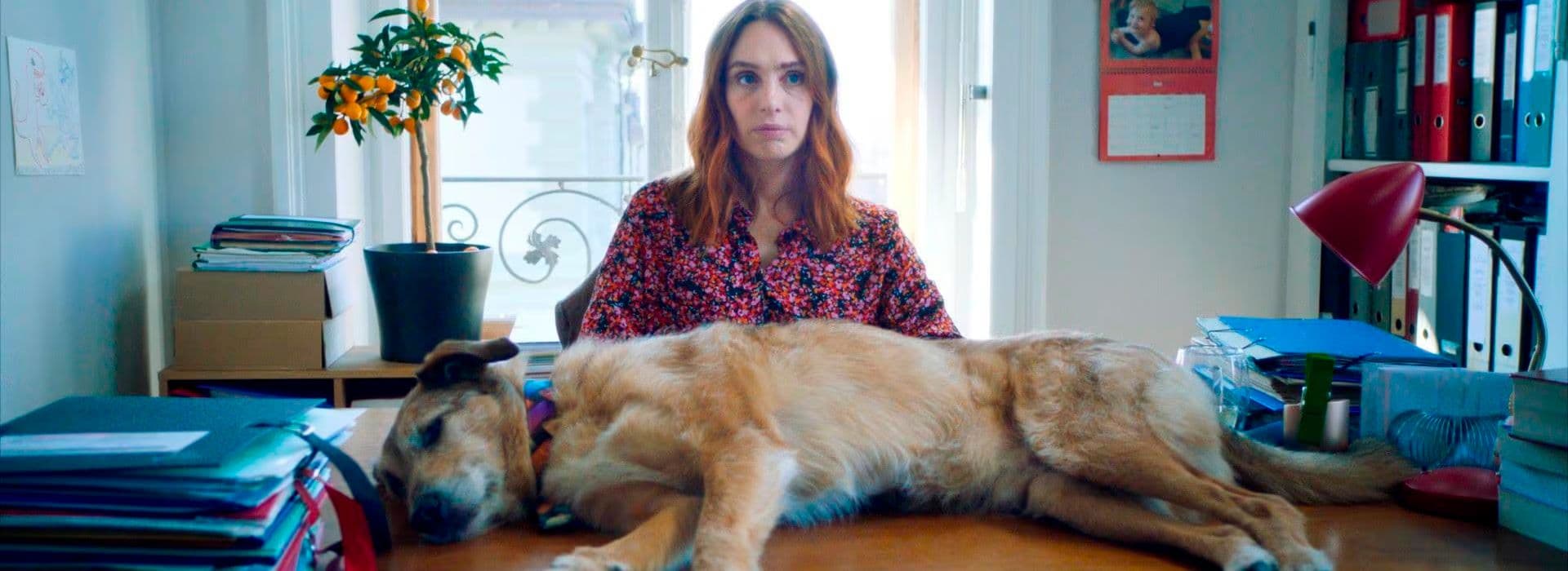 El Juicio De Un Perro