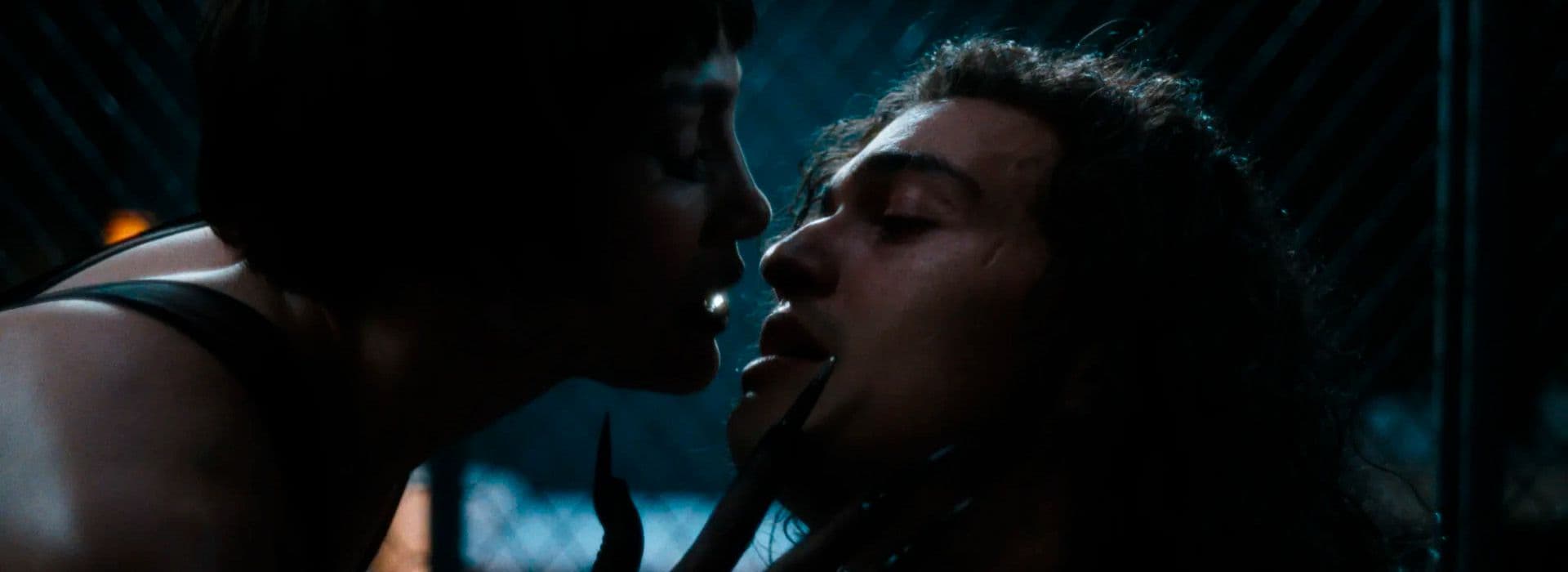 El Beso De La Mujer Araña