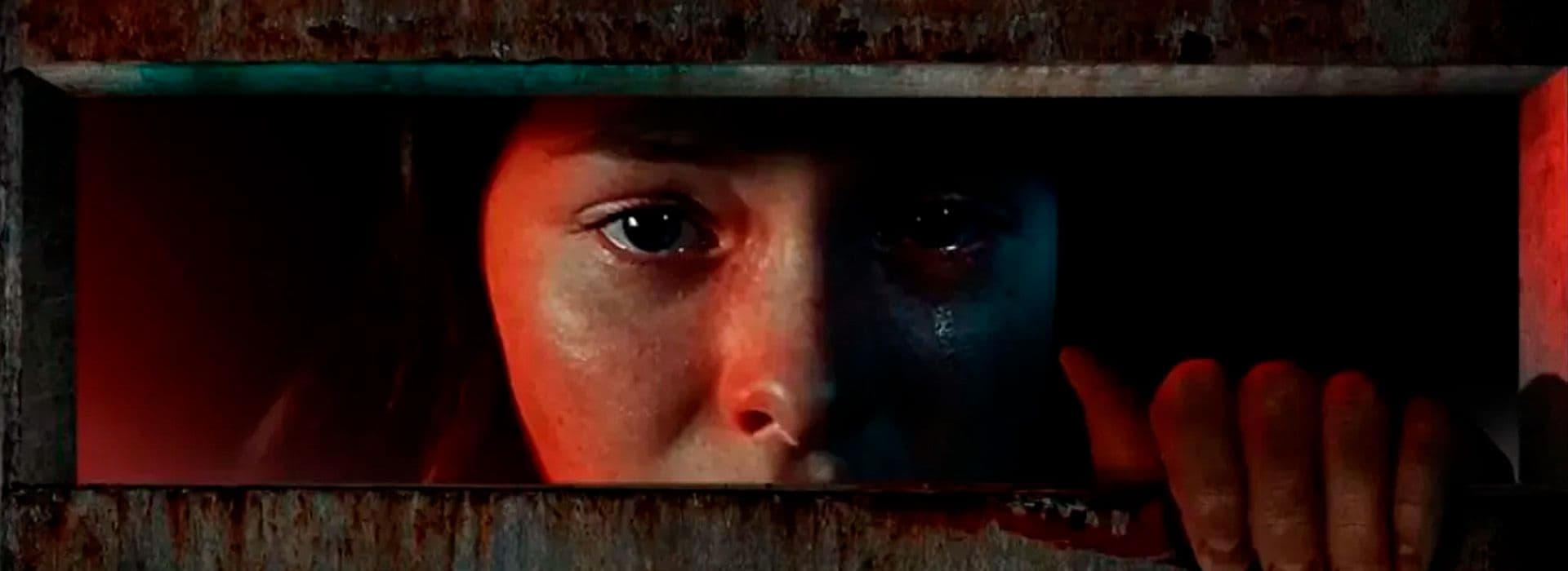 No Alimentes A Los Niños