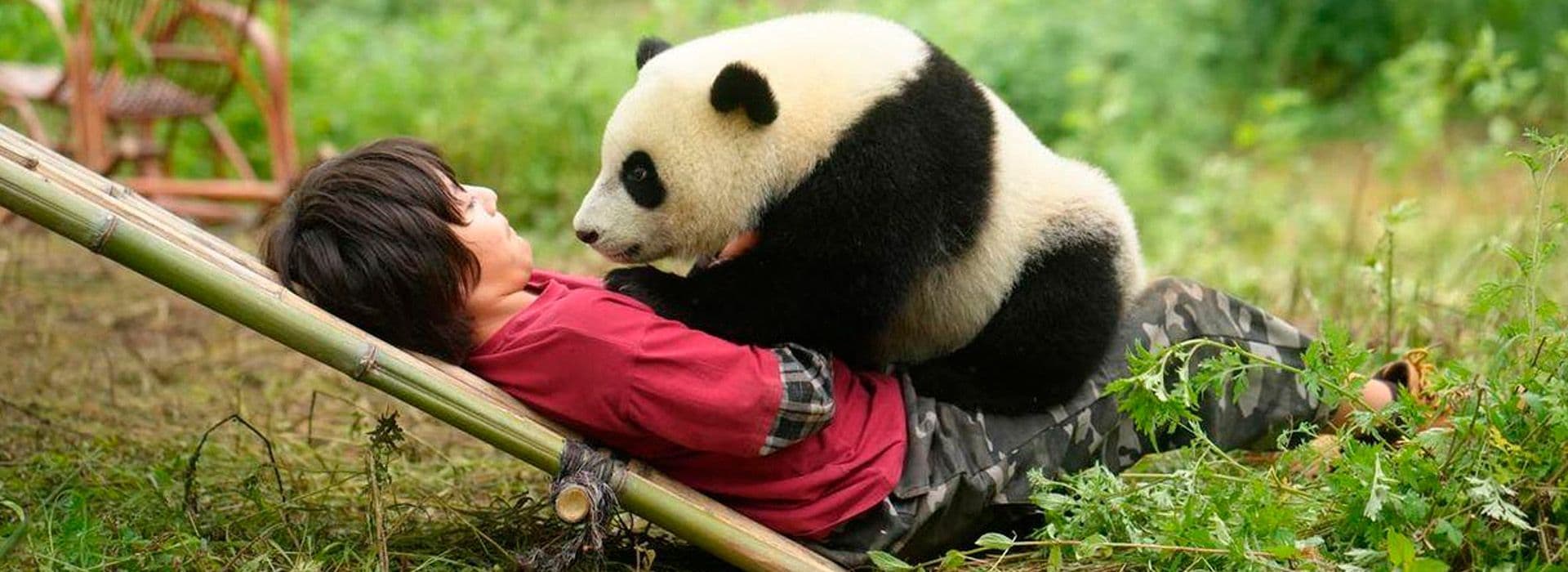 Moon, Mi Amigo El Panda