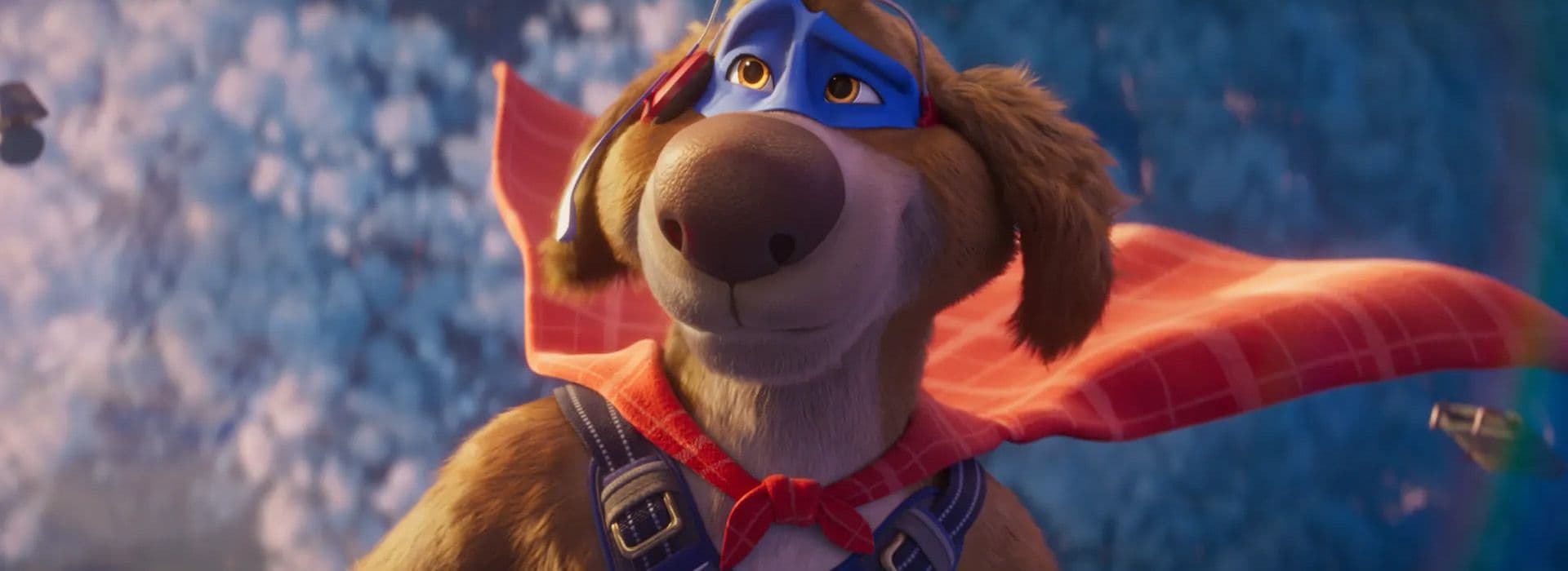 Súper Canino