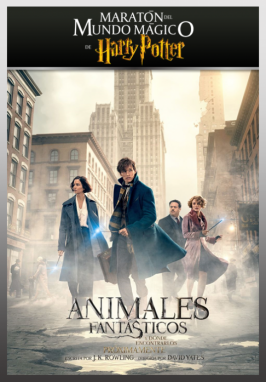 Citicinemas